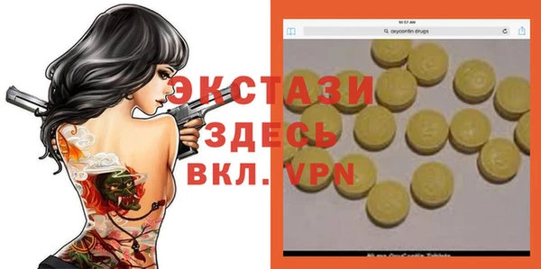 гашик Новодвинск