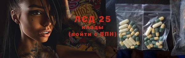гашик Новодвинск