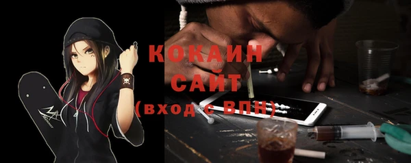 гашик Новодвинск