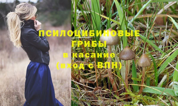 таблы Новокубанск