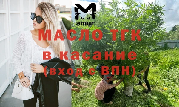 гашик Новодвинск