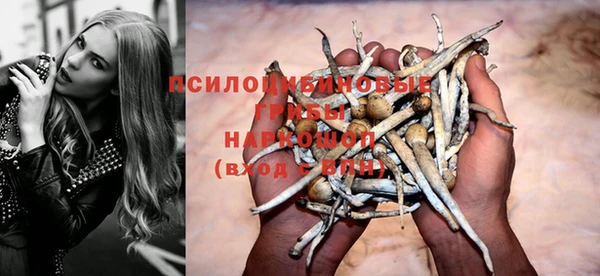 гашик Новодвинск